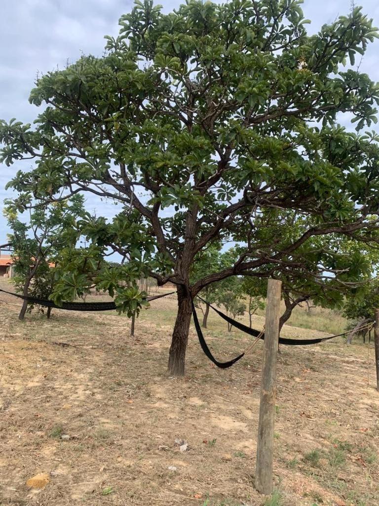 Pousada Solar Da Canastra Delfinópolis Dış mekan fotoğraf