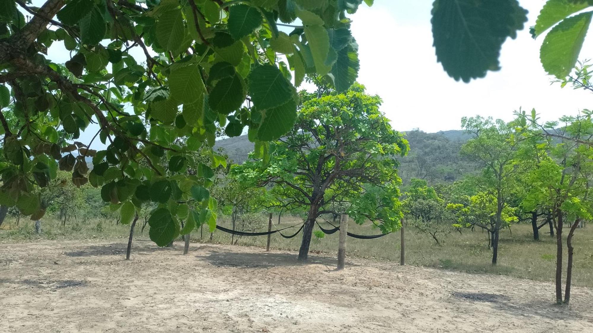 Pousada Solar Da Canastra Delfinópolis Dış mekan fotoğraf